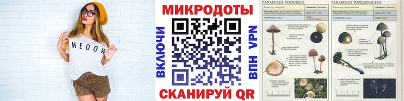 Галлюциногенные грибы Magic Shrooms  Белая Калитва 
